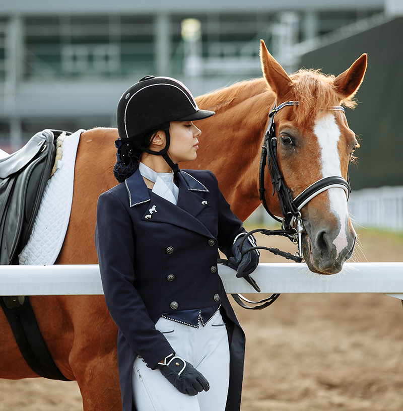 Techniques de dressage pour élever un cheval obéissant